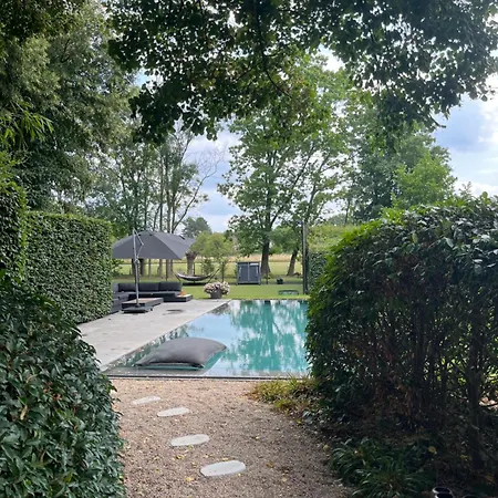 Πανσιόν Basement Tomorrowland 2025 *