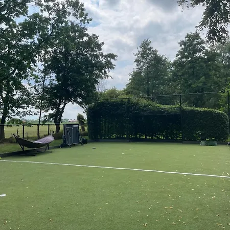 Basement Tomorrowland 2025 Πανσιόν *